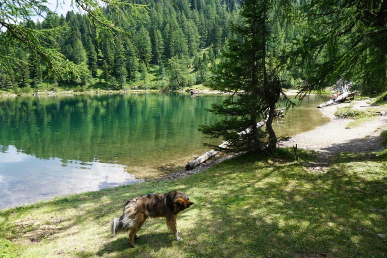 Historic Guesthouse Bircher B&B Apartments Near Sterzing Campo di Trens Esterno foto