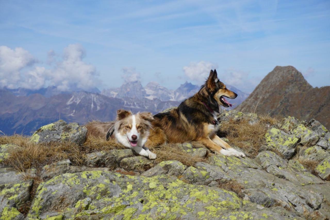 Historic Guesthouse Bircher B&B Apartments Near Sterzing Campo di Trens Esterno foto
